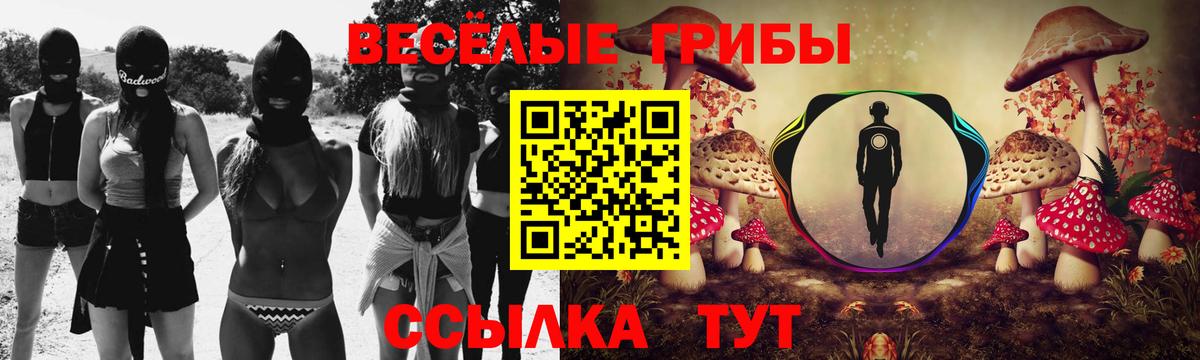 Галлюциногенные грибы Psilocybine cubensis Курган