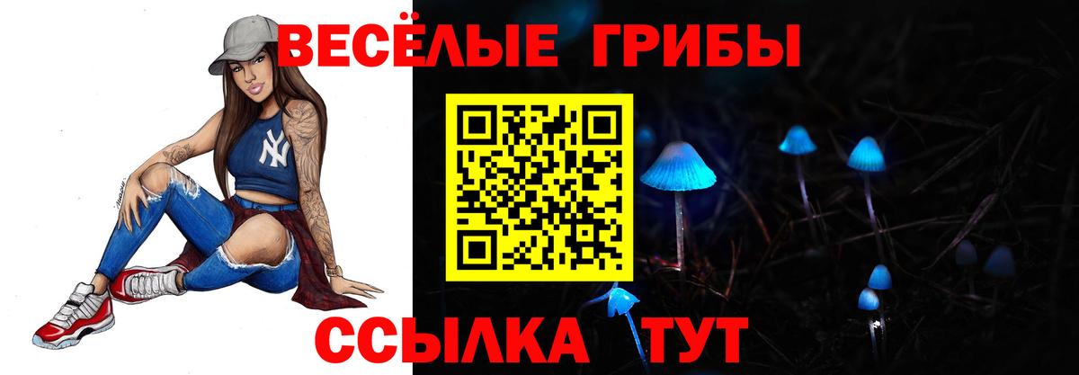 Псилоцибиновые грибы мицелий  Галлюциногенные грибы Psilocybe  Курган  Вход с VPN 